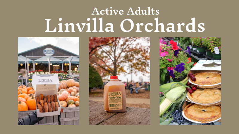Linvilla_Orchards_5